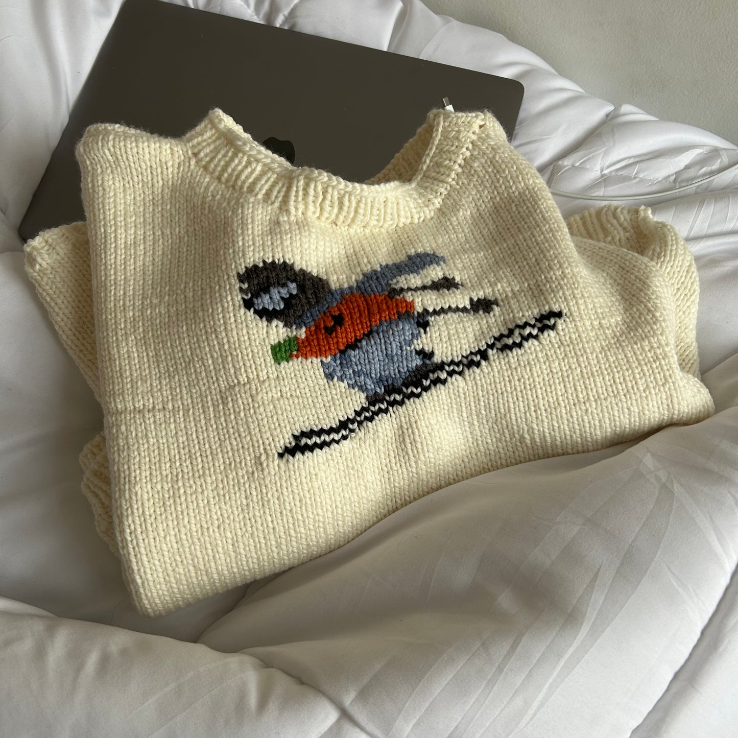 Skier Sweater